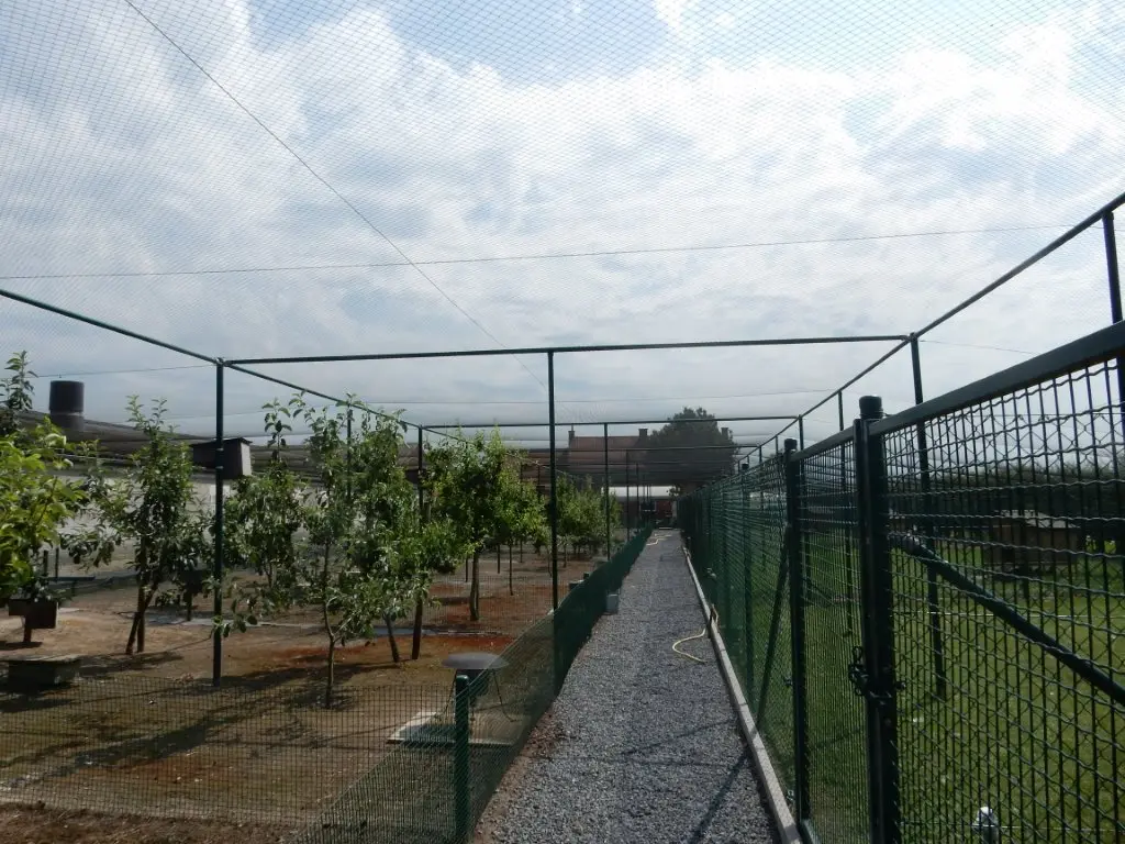 DSCN8975.webp