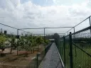 DSCN8975.webp