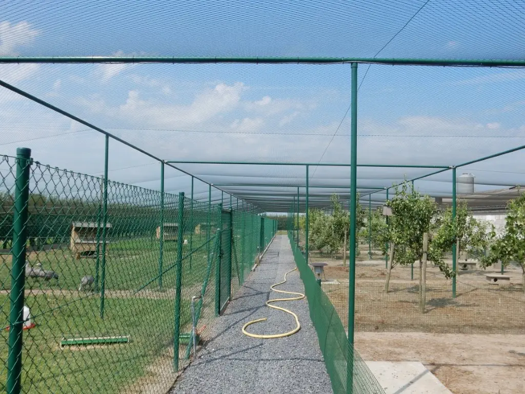 DSCN8971.webp