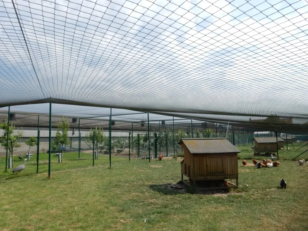 DSCN8974.webp