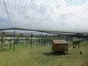DSCN8974.webp