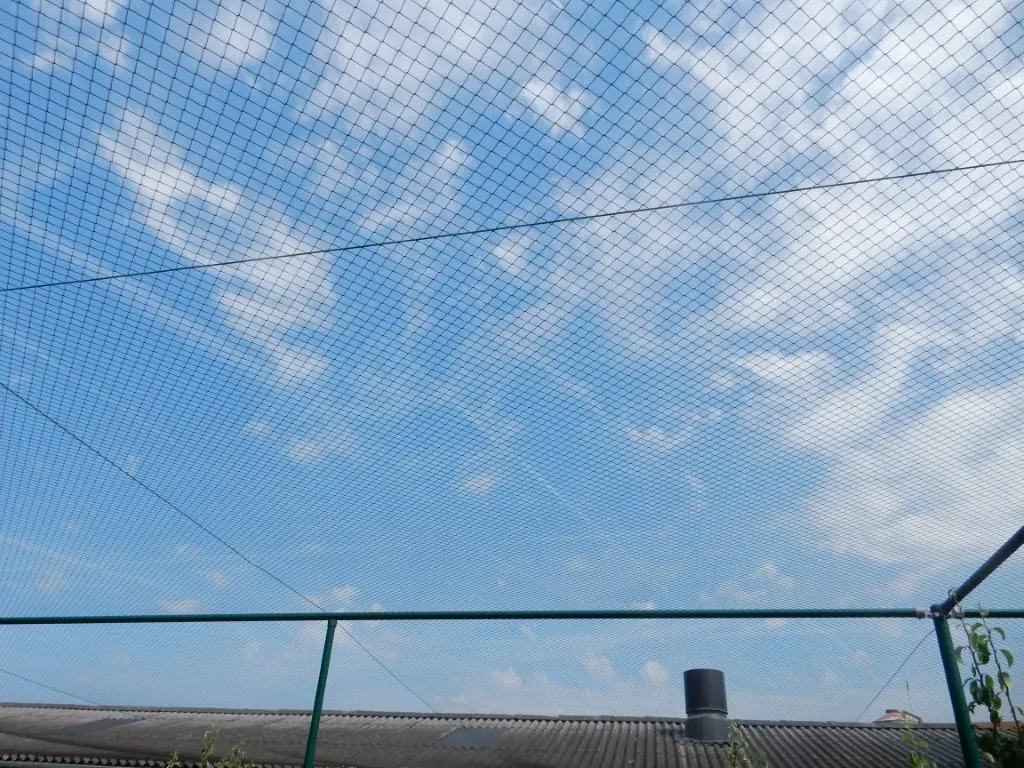 DSCN8972.webp
