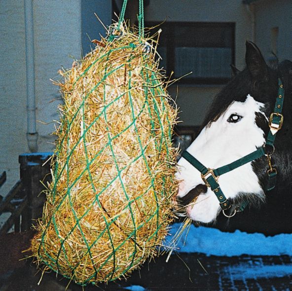 Hay net - PP 4 mm - mesh 10 cm - 1.10 m - green - with drawstring