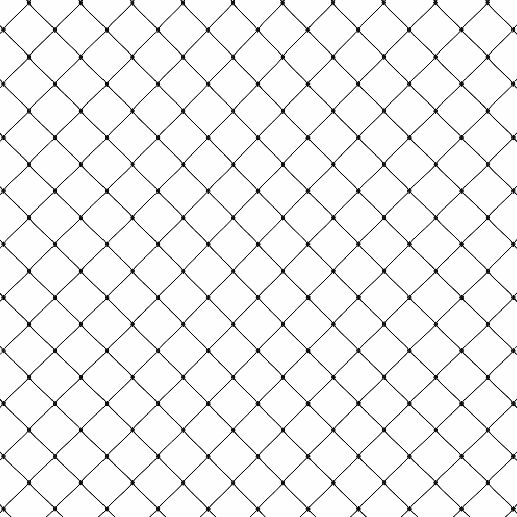 Net - 1,2 mm PE geknoopt - 3 x 5 x 380d - ruitmaas 4 cm - zwart - niet omzoomd