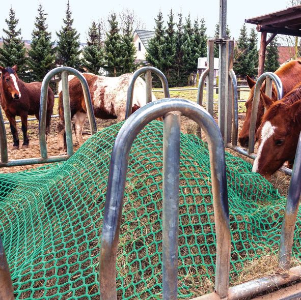 Trognetz - Maschenweite 4,5 cm - 5 mm PP - grün - eingefasst