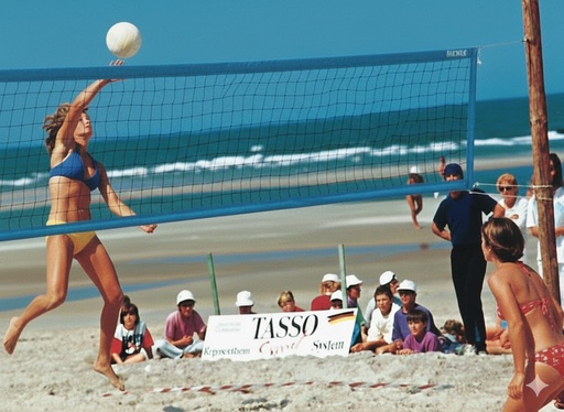 [5044-06-F40] Beachvolleyball Wettkampfnetz 3 mm PP - 9,5x1 - schwarz mit blauem Band