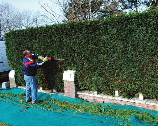 [SNM-010/200-01] Pruning mat - 10m x 2m - green
