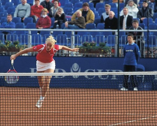 [8031-06] filets de tennis à mailles simples - maille 4,2 cm - 12,72 x 1,07 - 3 mm PP - noir