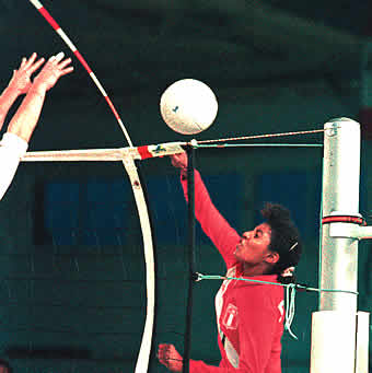 [502] Volleyball antennas - one-piece - 1.80 m long - with antenna holder made of coated PES
