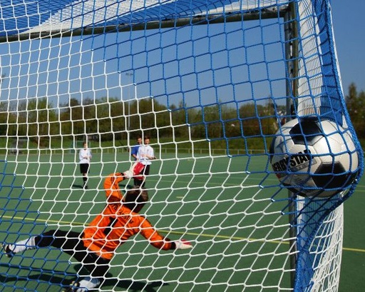 filets de but de football bicolores - 7,50 m x 2,50 m - profondeur haut 2,00 m, bas 2,00 m - 4 mm PP